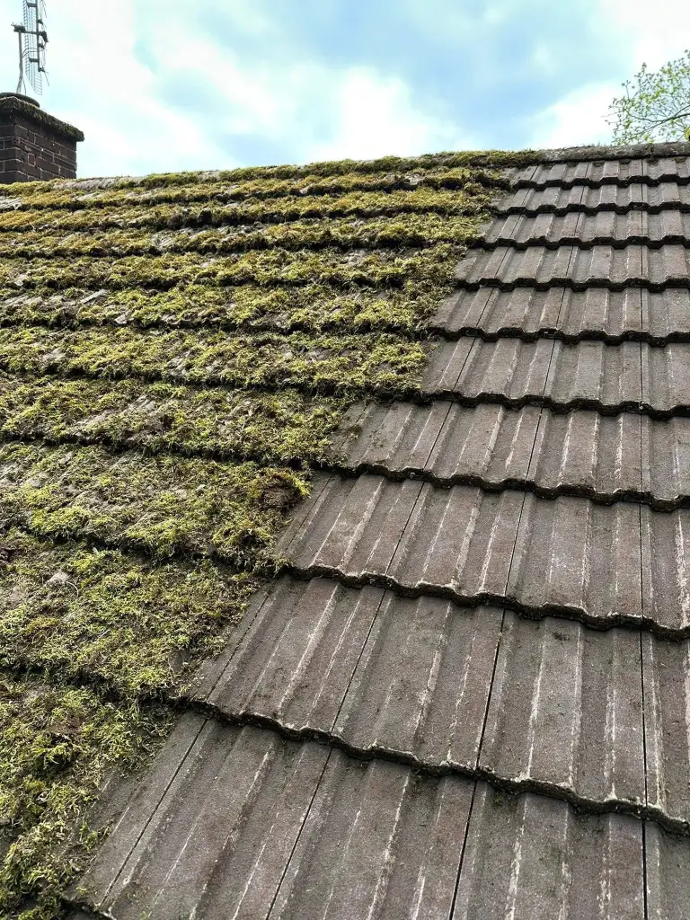 Moss removal in Birmingham