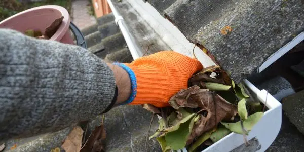 A gutter cleaning job we did in Birmingham